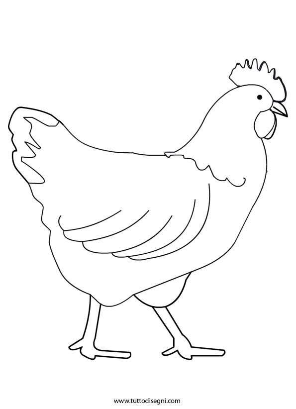 animali fattoria gallina