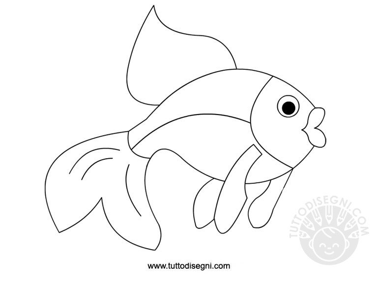 pesce colorato2