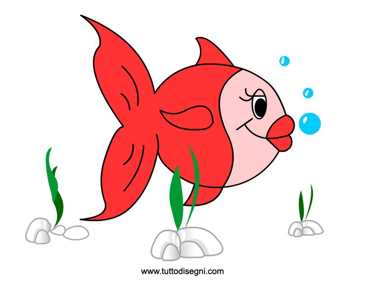 pesce rosso1