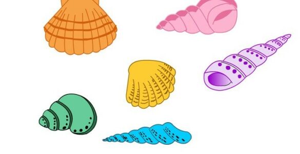 conchiglie