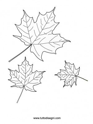 foglie autunnali da colorare