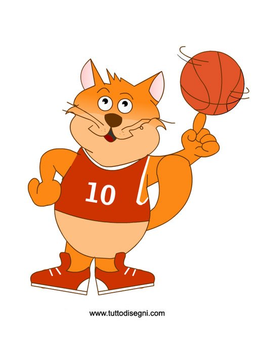 gatto matto basket