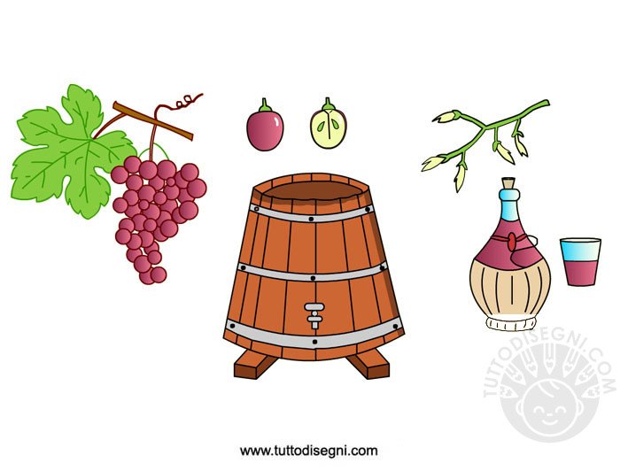 uva vino colorato