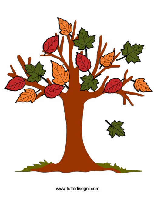albero autunno colorato