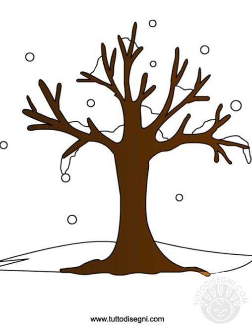 albero inverno
