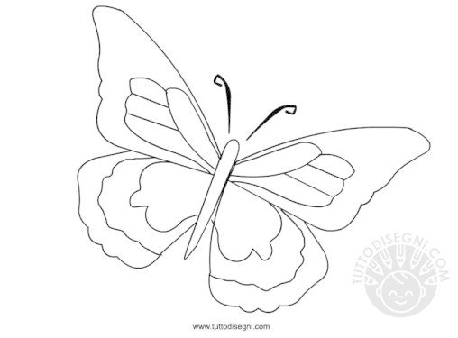 farfalla da colorare1