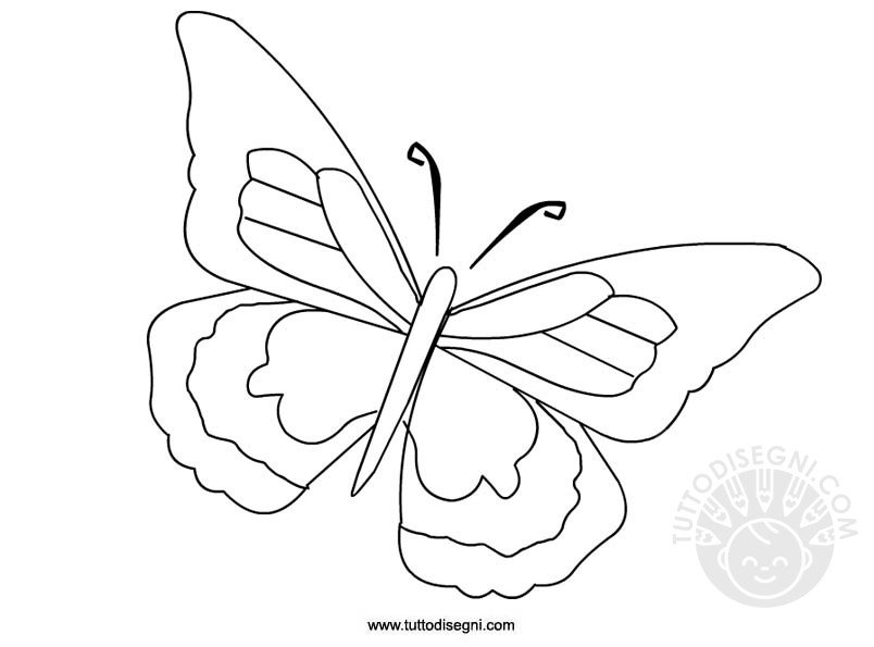 farfalla da colorare1
