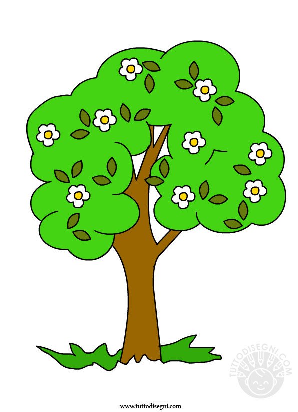 albero primavera1