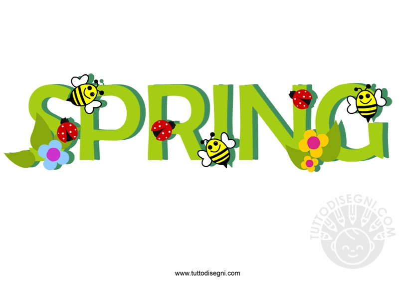 spring 1