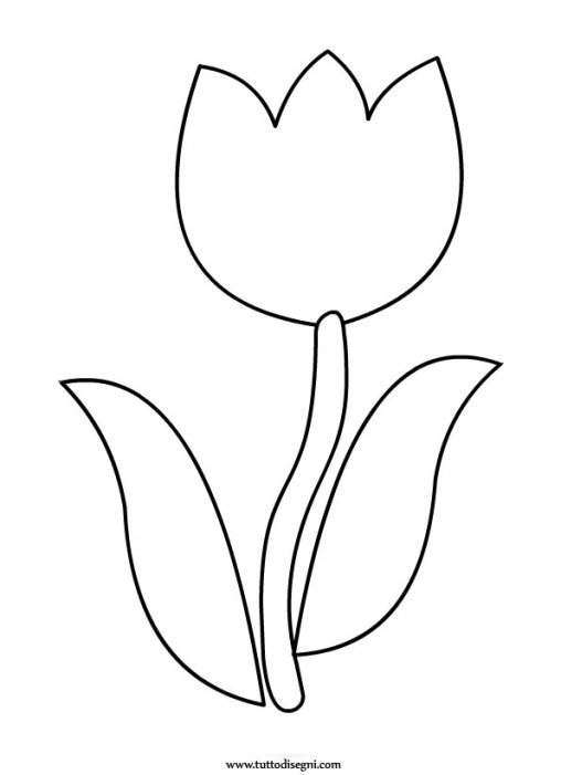 tulipano da colorare1