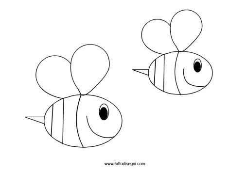 api disegno