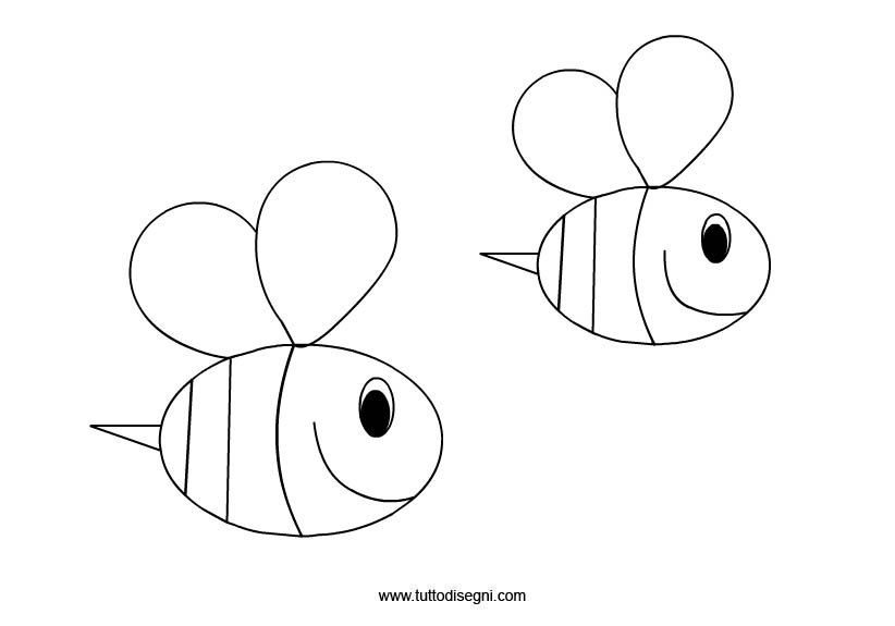 api disegno