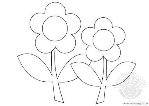 fiori 2