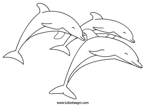 delfini 2