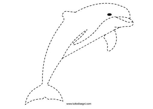delfino pregrafismo