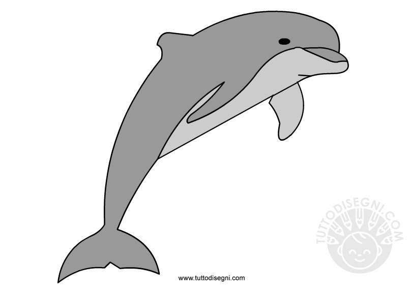 delfino salto
