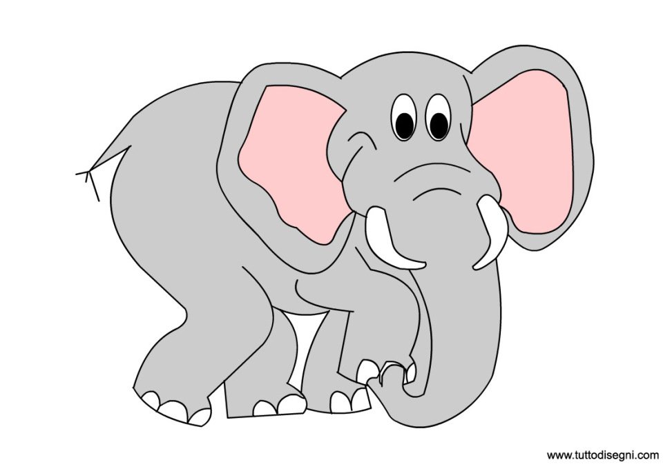 elefante immagine1