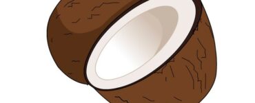 cocco
