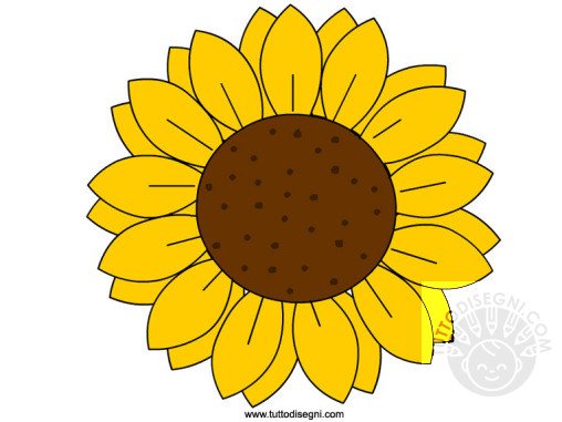 girasole