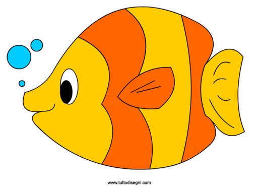 pesce colorato