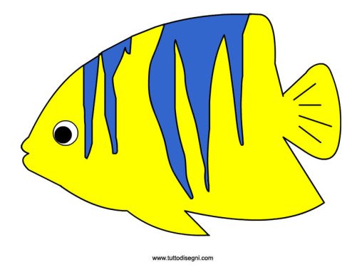 pesce tropicale colorato