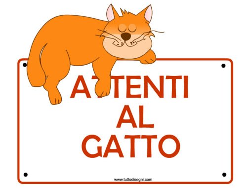 targa attenti gatto