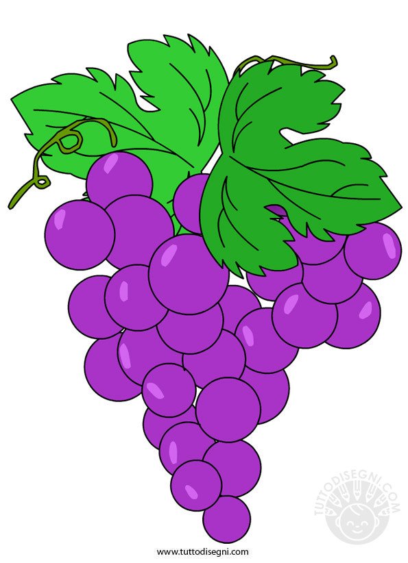 grappolo uva