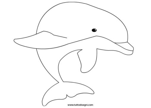delfino da colorare