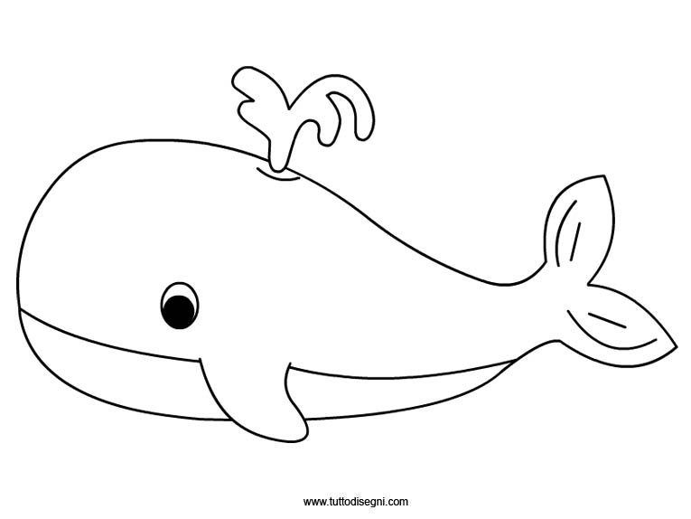 disegno balena