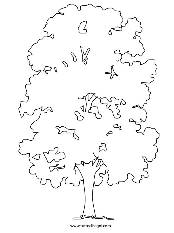 albero castagno