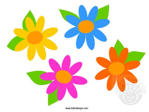 fiori colorati