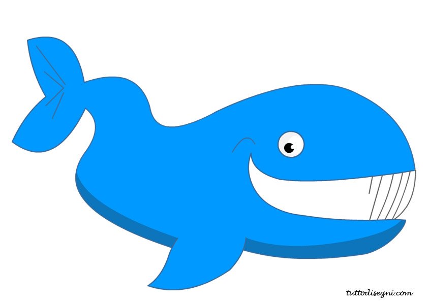 balena sorridente