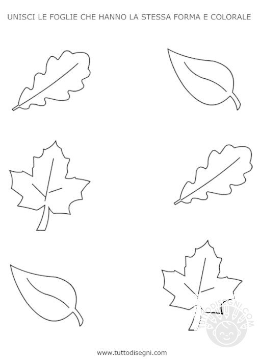 schede didattiche autunno foglie