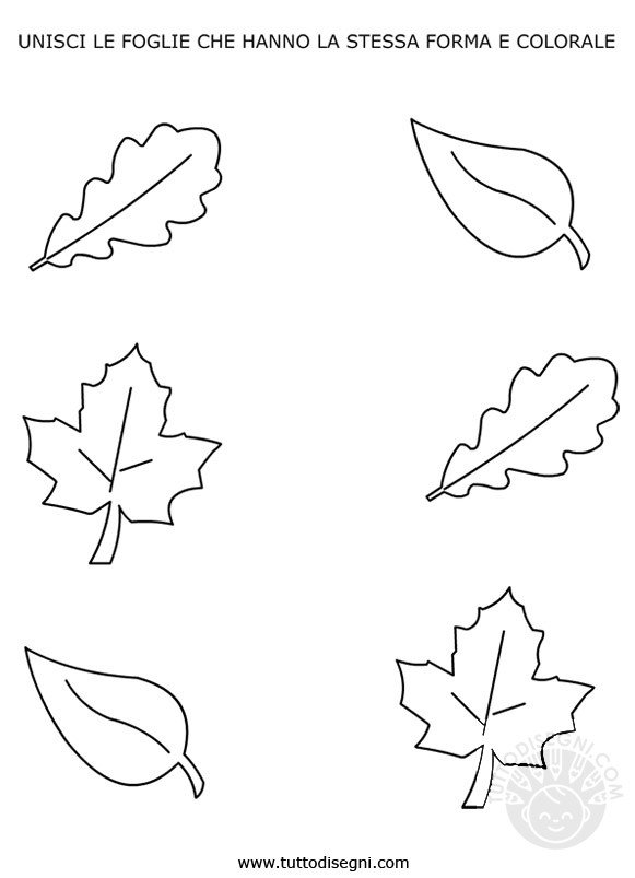 schede didattiche autunno foglie