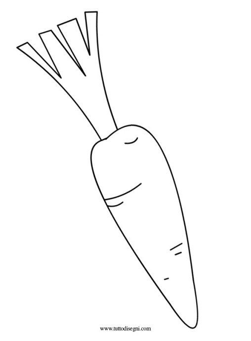 carota disegno