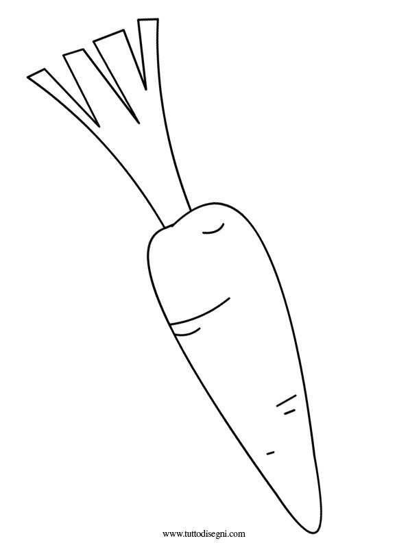carota disegno