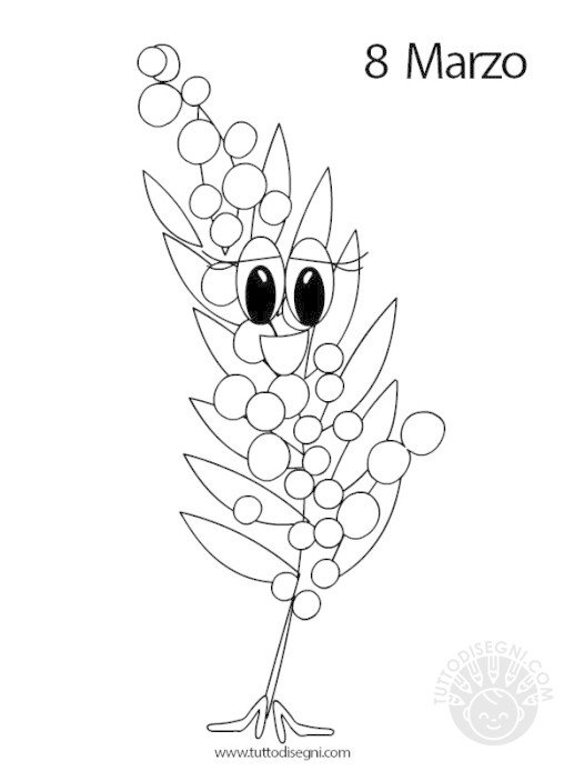 disegno mimosa