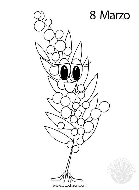 disegno mimosa