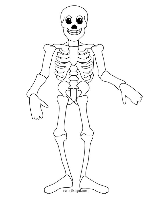 disegno scheletro