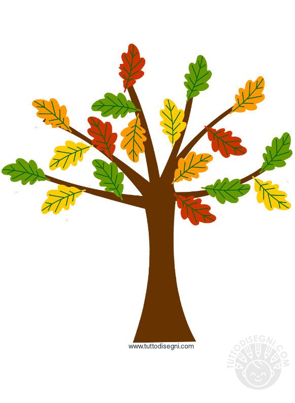 albero autunno 4