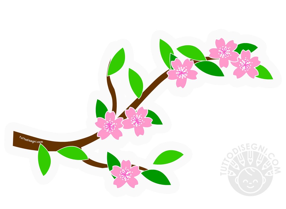 ramo fiori ciliegio
