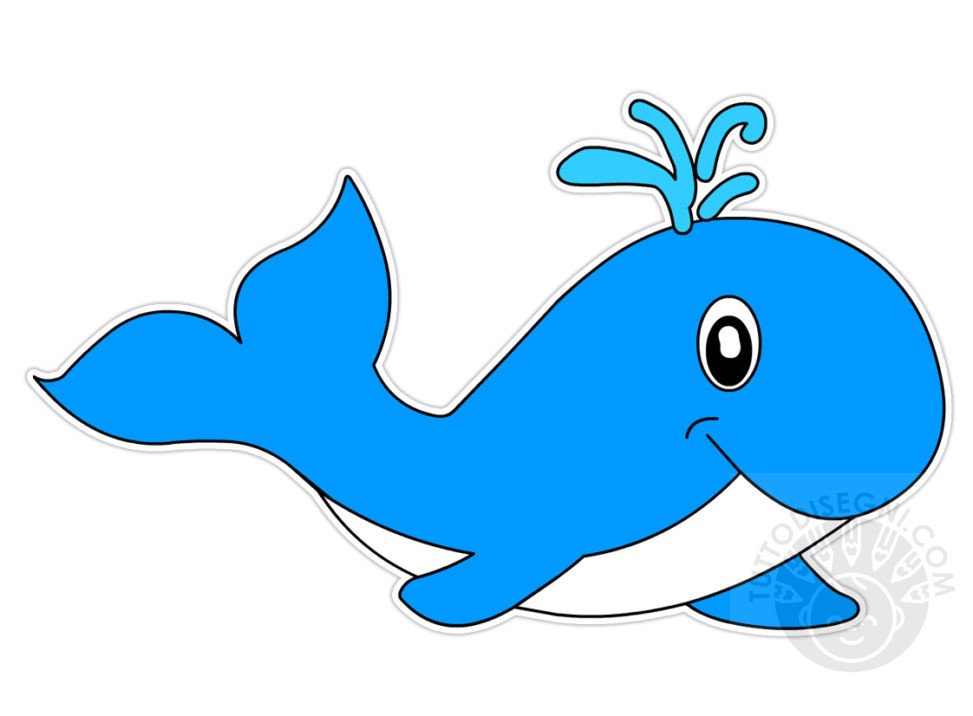 balena animali marini