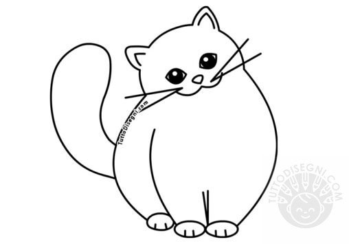 gatto disegno