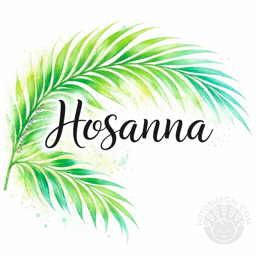 Buona Domenica delle Palme: auguri e immagini da condividere 5 buona domenica delle palme immagini da condividere