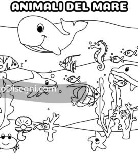 animali mare