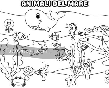 animali mare