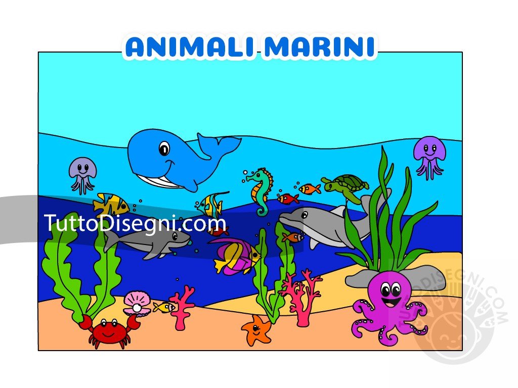 animali marini
