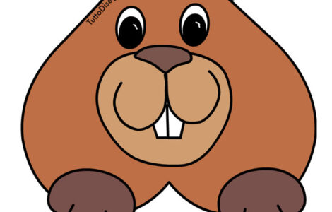 viso marmotta cuore