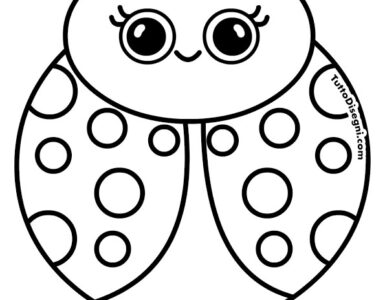simpatica coccinella