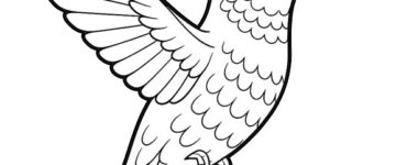 colibri